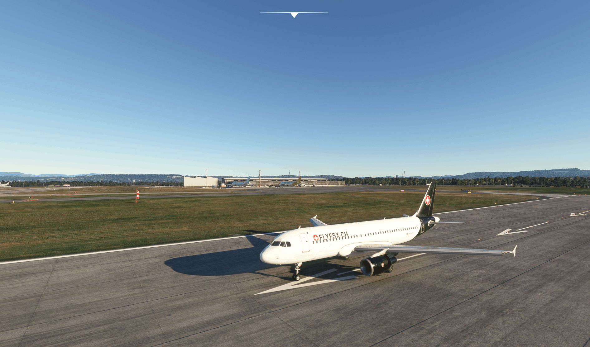 FLYFSX - Flugsimulator - Flight Simulator -  Rüchligweg 55 - 4125 Riehen - Basel - Baden - Aarau - Zürich - Schweiz - Lörrach - Freiburg - Deutschland. 