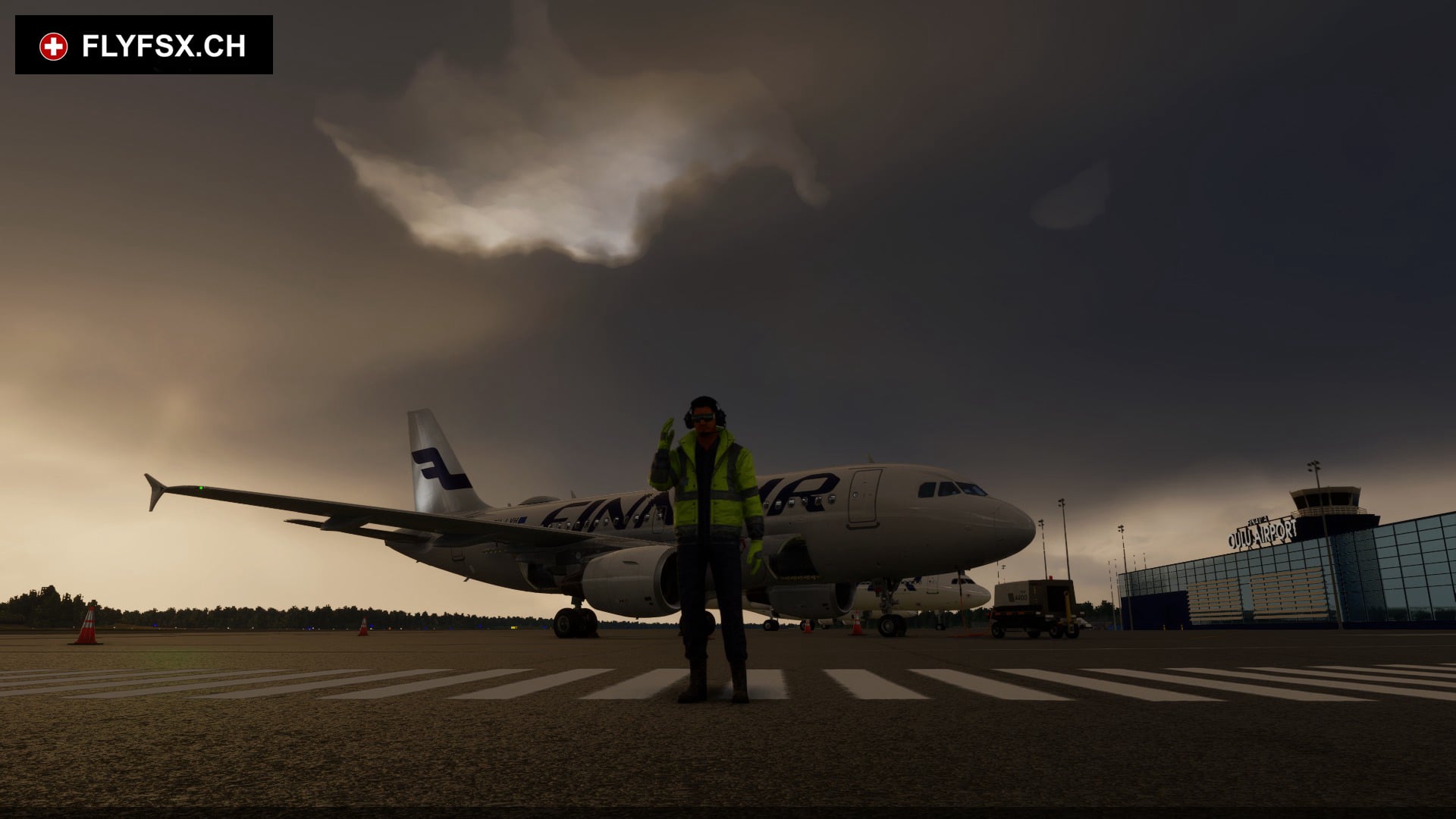 FLYFSX - Flugsimulator - Flight Simulator -  Rüchligweg 55 - 4125 Riehen - Basel - Baden - Aarau - Zürich - Schweiz - Lörrach - Freiburg - Deutschland. 