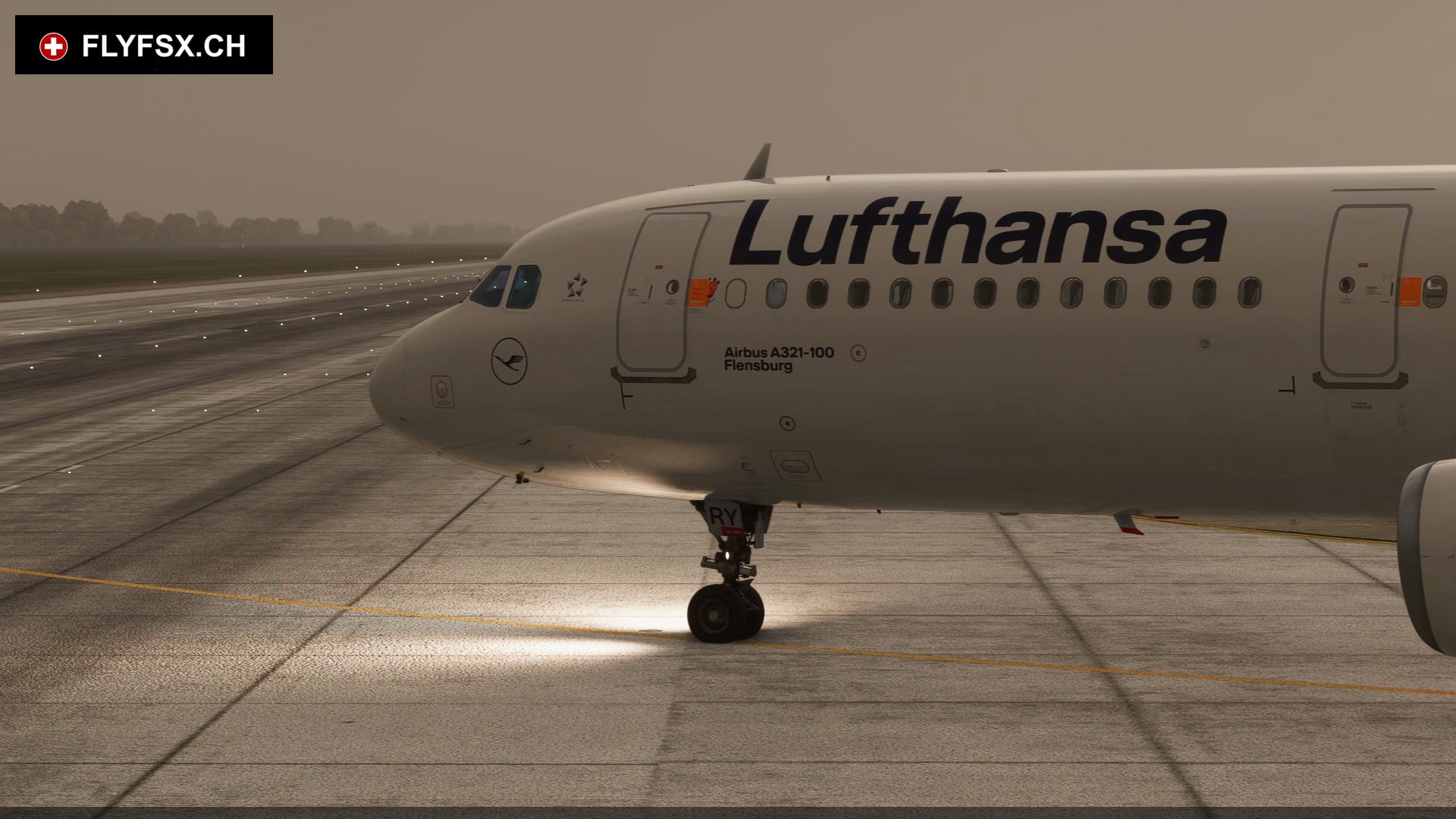 FLYFSX - Flugsimulator - Flight Simulator -  Rüchligweg 55 - 4125 Riehen - Basel - Baden - Aarau - Zürich - Schweiz - Lörrach - Freiburg - Deutschland. 