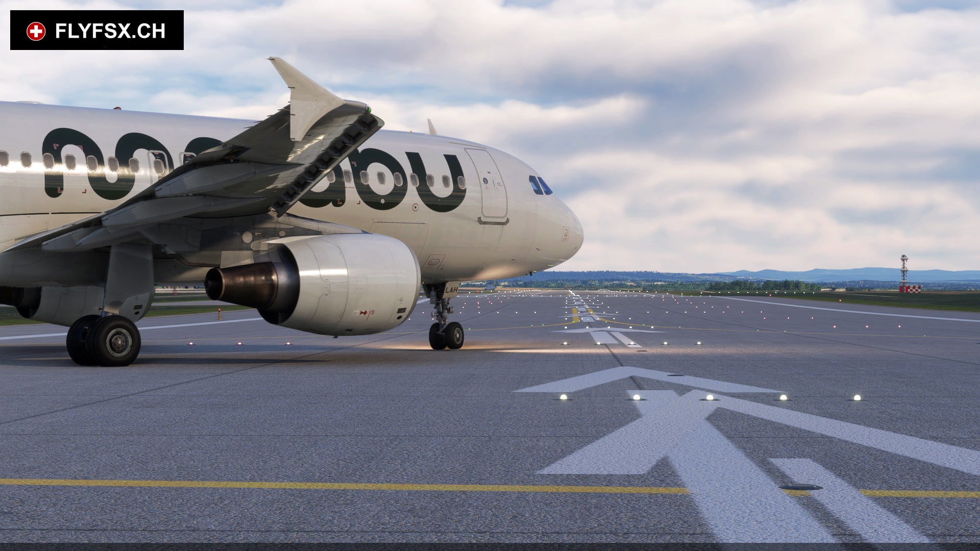 FLYFSX - Flugsimulator - Flight Simulator -  Rüchligweg 55 - 4125 Riehen - Basel - Baden - Aarau - Zürich - Schweiz - Lörrach - Freiburg - Deutschland. 