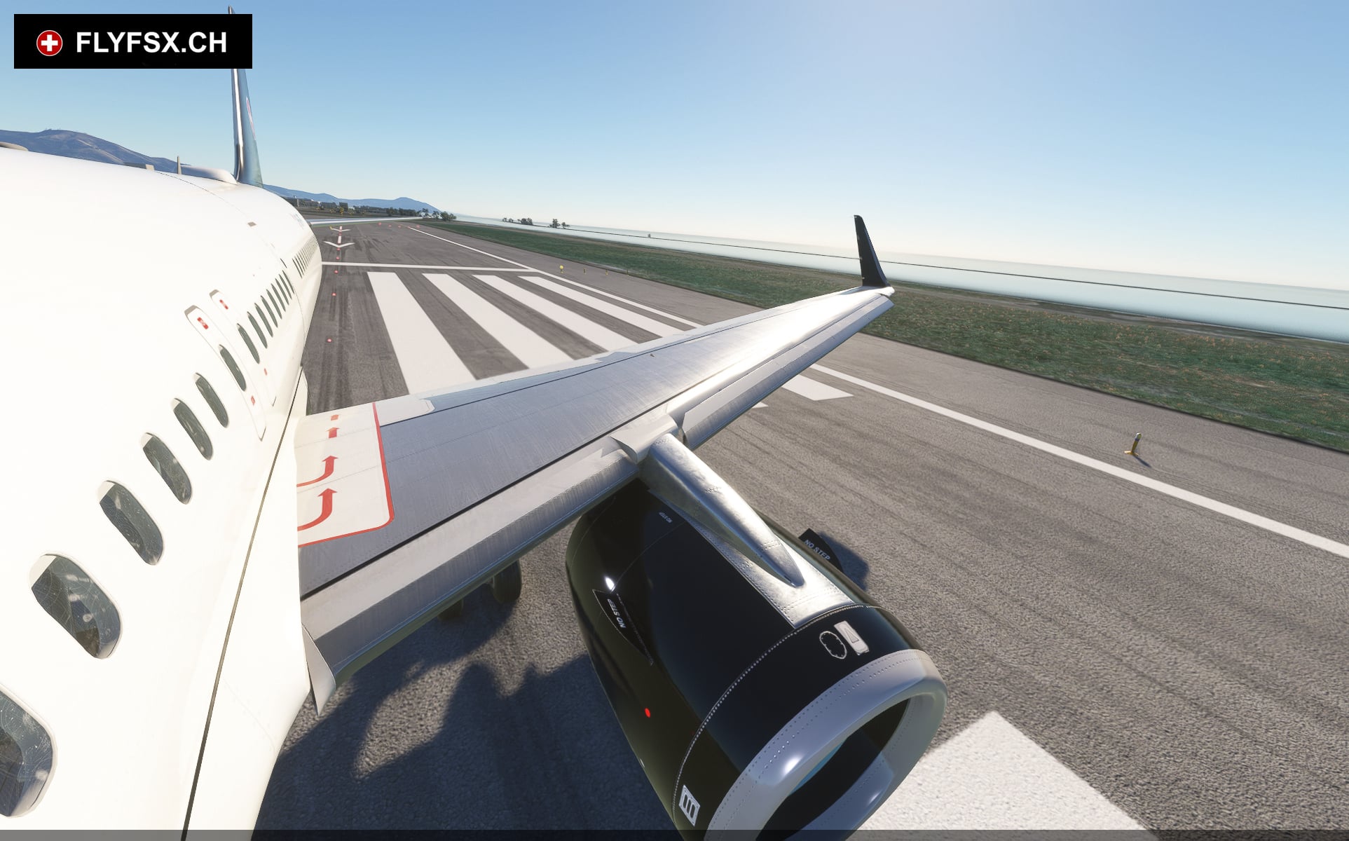 FLYFSX - Flugsimulator - Flight Simulator -  Rüchligweg 55 - 4125 Riehen - Basel - Baden - Aarau - Zürich - Schweiz - Lörrach - Freiburg - Deutschland. 