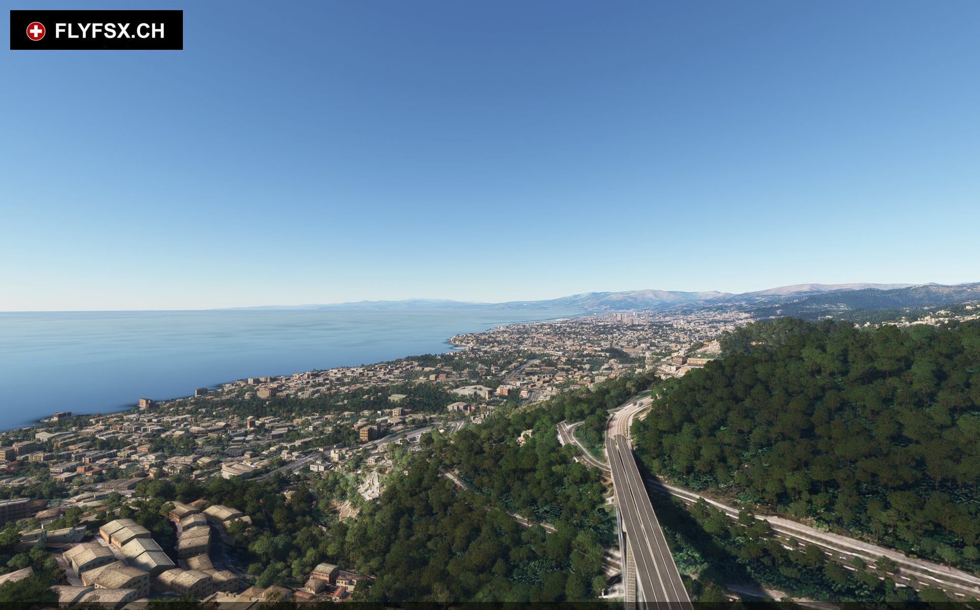 FLYFSX - Flugsimulator - Flight Simulator -  Rüchligweg 55 - 4125 Riehen - Basel - Baden - Aarau - Zürich - Schweiz - Lörrach - Freiburg - Deutschland. 