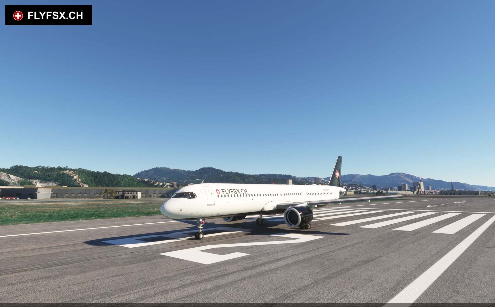 FLYFSX - Flugsimulator - Flight Simulator -  Rüchligweg 55 - 4125 Riehen - Basel - Baden - Aarau - Zürich - Schweiz - Lörrach - Freiburg - Deutschland. 