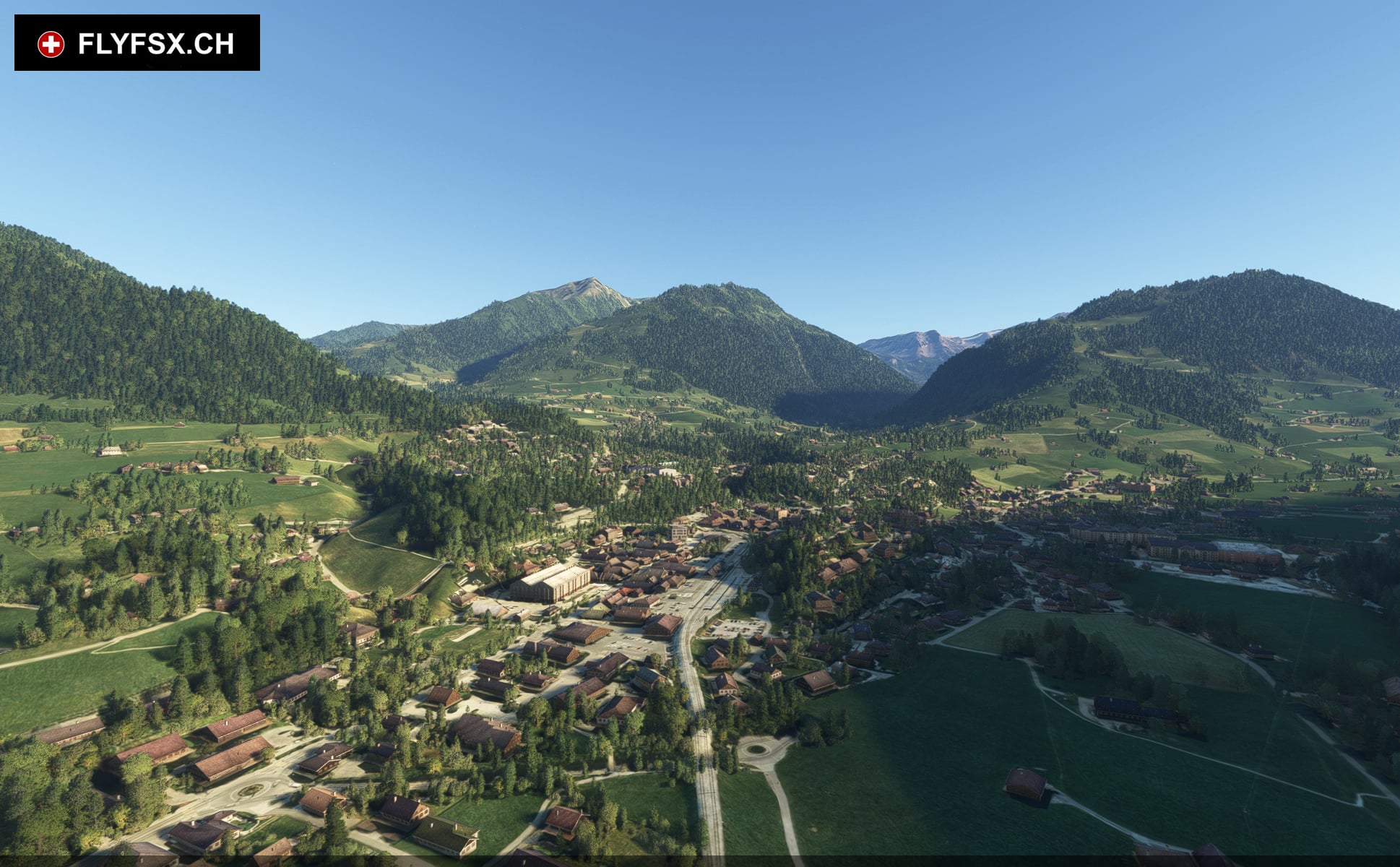 FLYFSX - Flugsimulator - Flight Simulator -  Rüchligweg 55 - 4125 Riehen - Basel - Baden - Aarau - Zürich - Schweiz - Lörrach - Freiburg - Deutschland. 