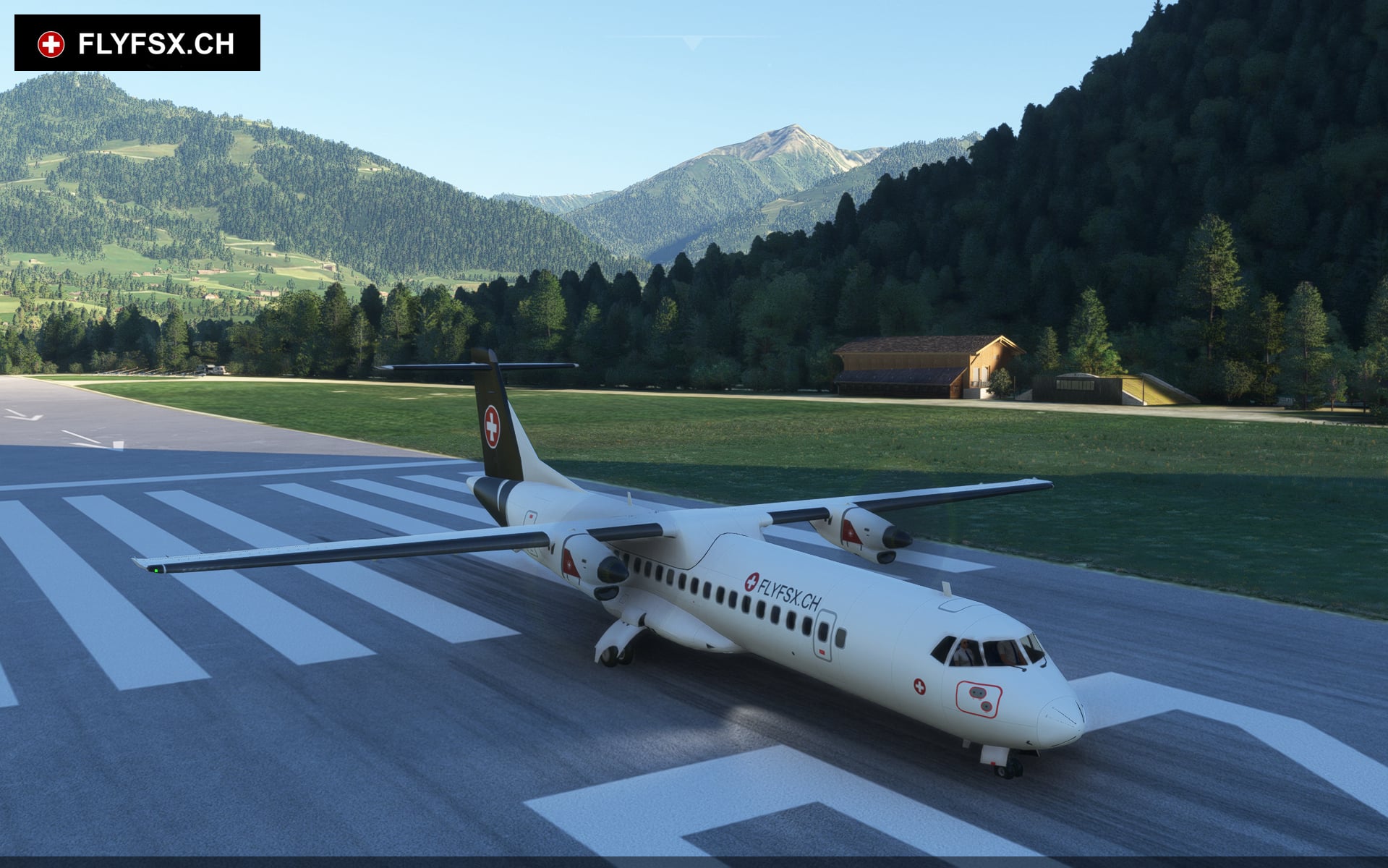 FLYFSX - Flugsimulator - Flight Simulator -  Rüchligweg 55 - 4125 Riehen - Basel - Baden - Aarau - Zürich - Schweiz - Lörrach - Freiburg - Deutschland. 