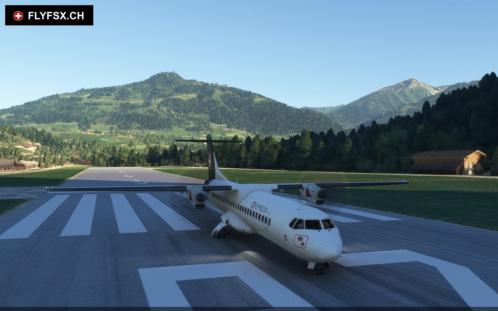 FLYFSX - Flugsimulator - Flight Simulator -  Rüchligweg 55 - 4125 Riehen - Basel - Baden - Aarau - Zürich - Schweiz - Lörrach - Freiburg - Deutschland. 