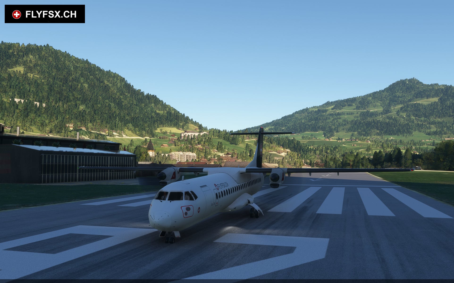 FLYFSX - Flugsimulator - Flight Simulator -  Rüchligweg 55 - 4125 Riehen - Basel - Baden - Aarau - Zürich - Schweiz - Lörrach - Freiburg - Deutschland. 