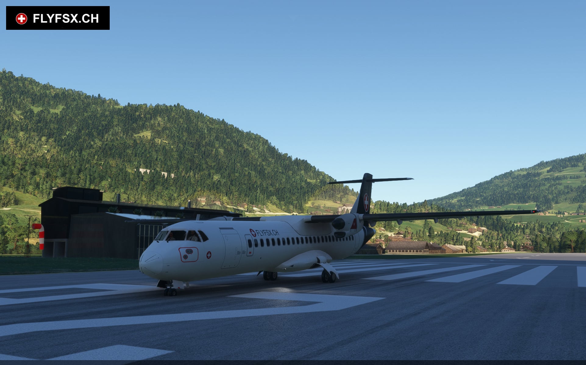 FLYFSX - Flugsimulator - Flight Simulator -  Rüchligweg 55 - 4125 Riehen - Basel - Baden - Aarau - Zürich - Schweiz - Lörrach - Freiburg - Deutschland. 