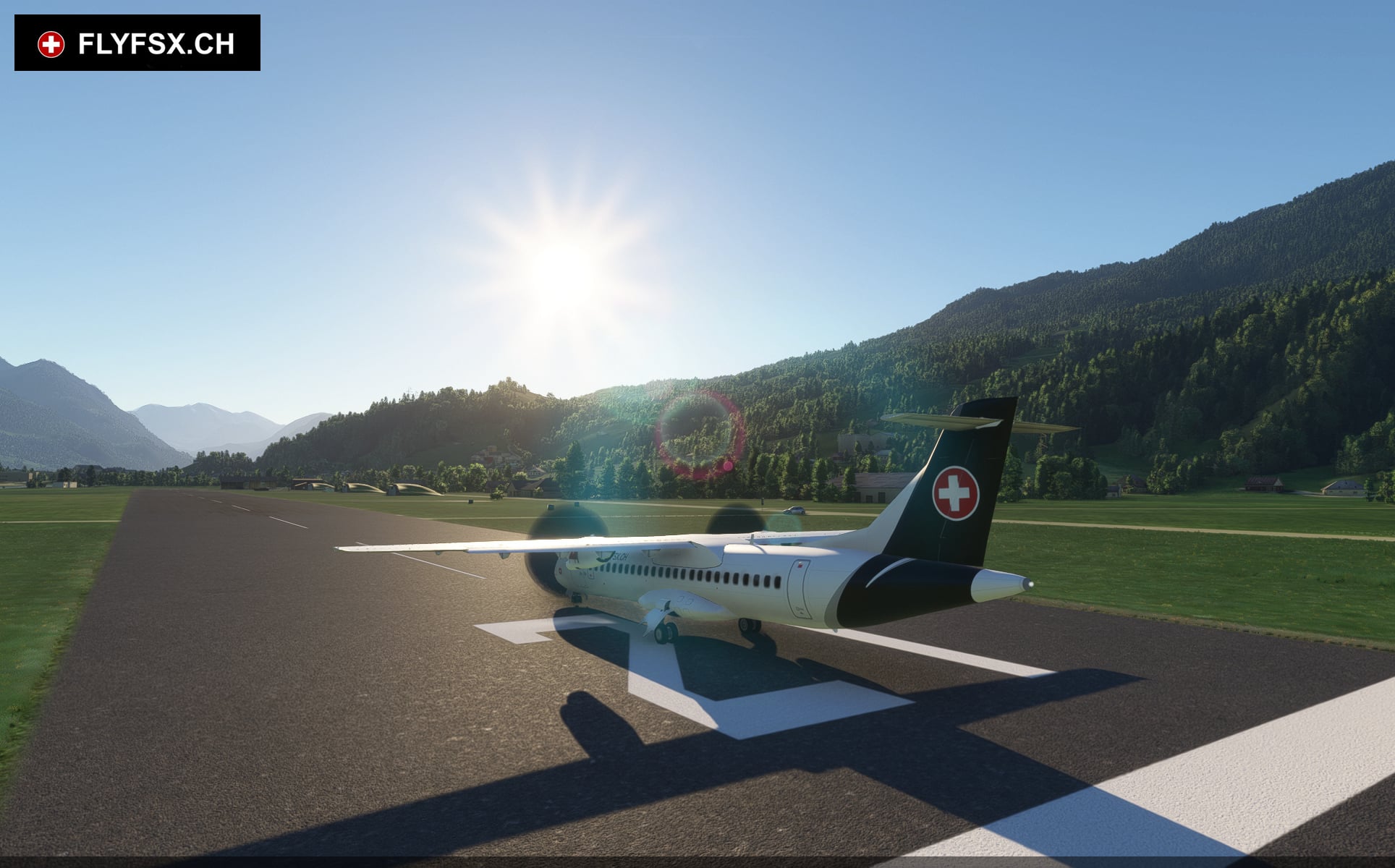 FLYFSX - Flugsimulator - Flight Simulator -  Rüchligweg 55 - 4125 Riehen - Basel - Baden - Aarau - Zürich - Schweiz - Lörrach - Freiburg - Deutschland. 