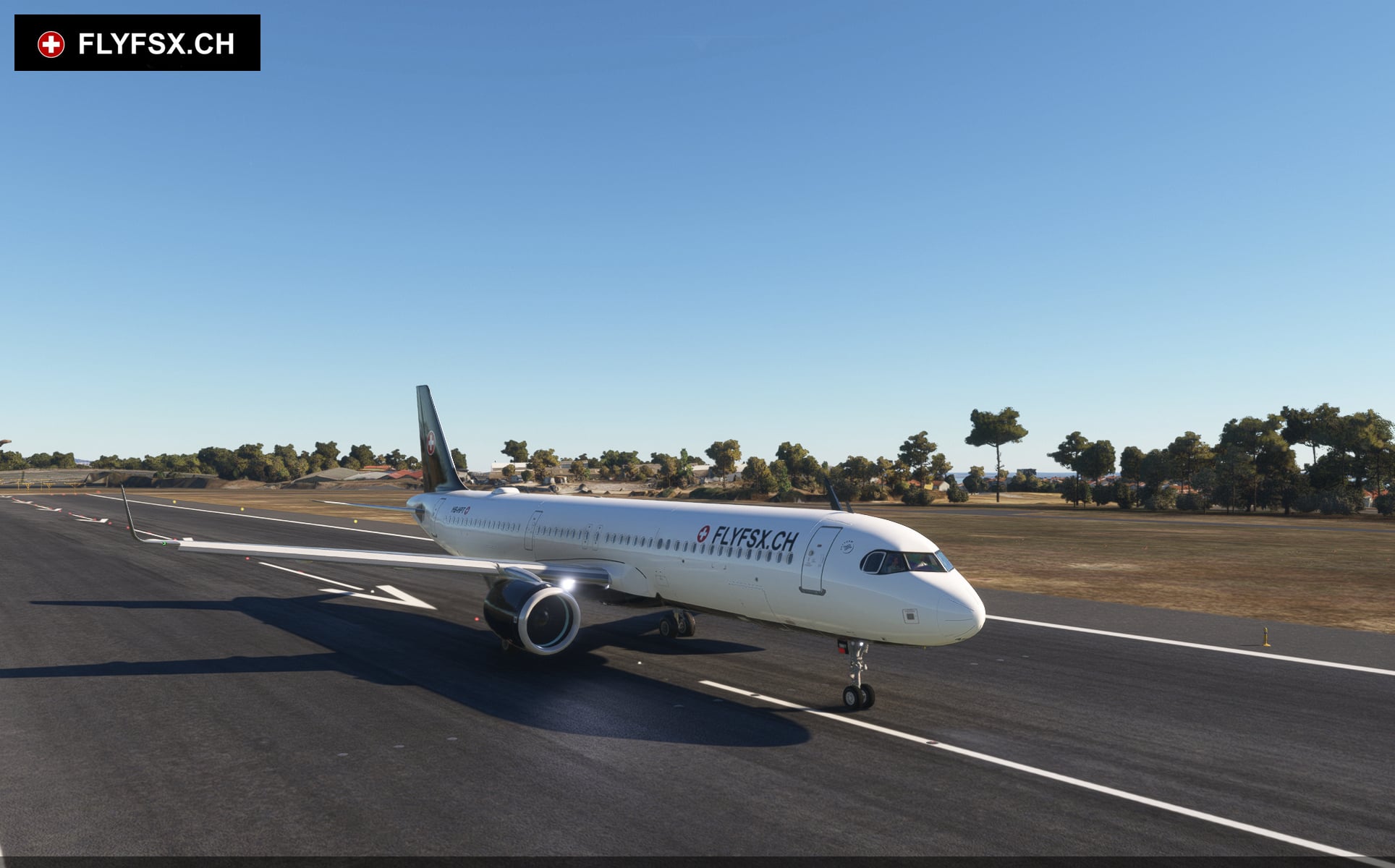 FLYFSX - Flugsimulator - Flight Simulator -  Rüchligweg 55 - 4125 Riehen - Basel - Baden - Aarau - Zürich - Schweiz - Lörrach - Freiburg - Deutschland. 