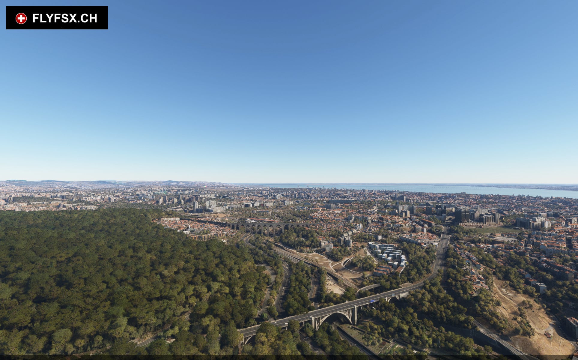 FLYFSX - Flugsimulator - Flight Simulator -  Rüchligweg 55 - 4125 Riehen - Basel - Baden - Aarau - Zürich - Schweiz - Lörrach - Freiburg - Deutschland. 