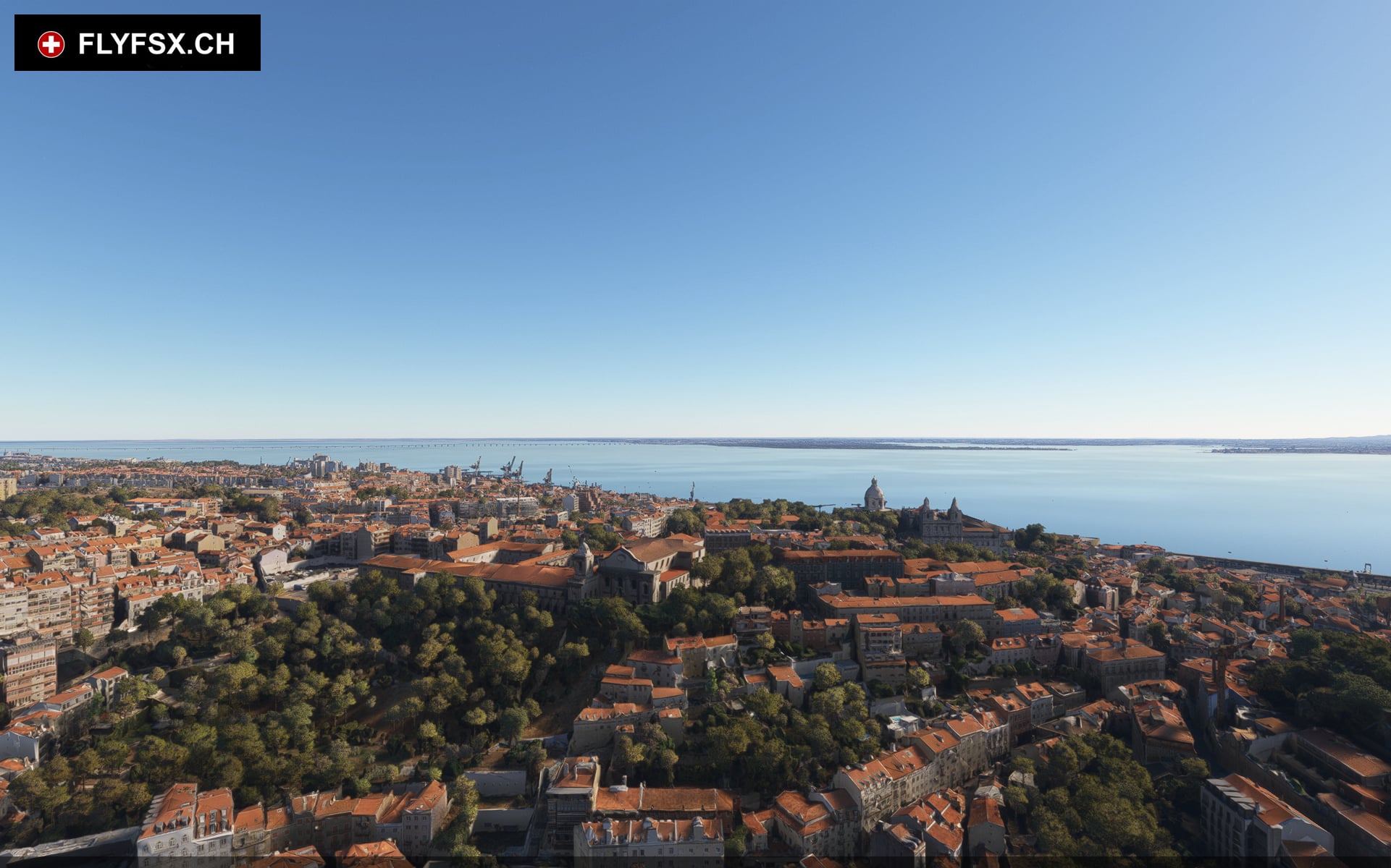 FLYFSX - Flugsimulator - Flight Simulator -  Rüchligweg 55 - 4125 Riehen - Basel - Baden - Aarau - Zürich - Schweiz - Lörrach - Freiburg - Deutschland. 