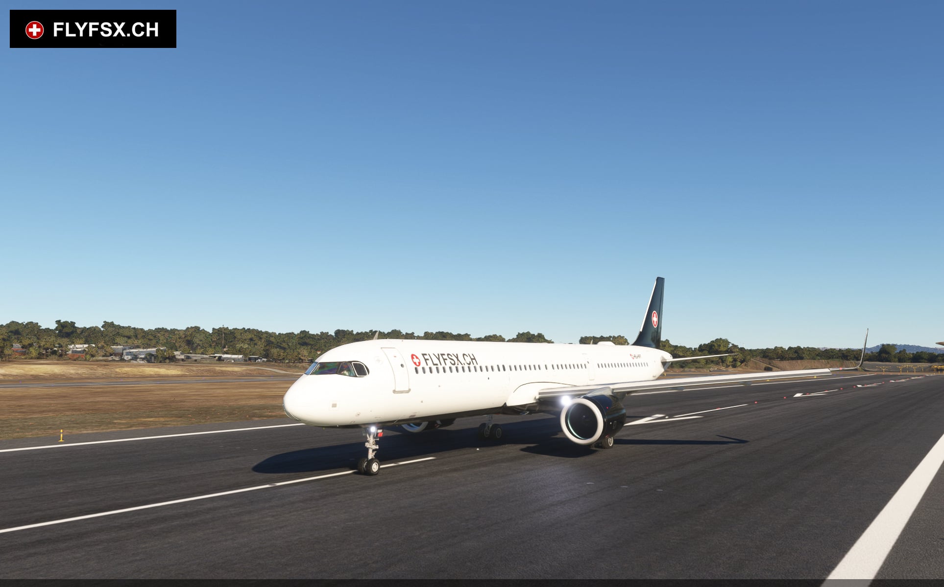 FLYFSX - Flugsimulator - Flight Simulator -  Rüchligweg 55 - 4125 Riehen - Basel - Baden - Aarau - Zürich - Schweiz - Lörrach - Freiburg - Deutschland. 