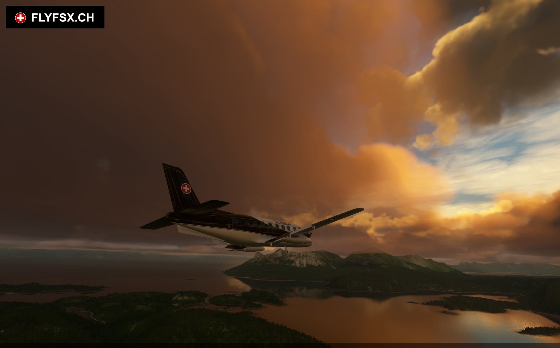 FLYFSX - Flugsimulator - Flight Simulator -  Rüchligweg 55 - 4125 Riehen - Basel - Baden - Aarau - Zürich - Schweiz - Lörrach - Freiburg - Deutschland. 