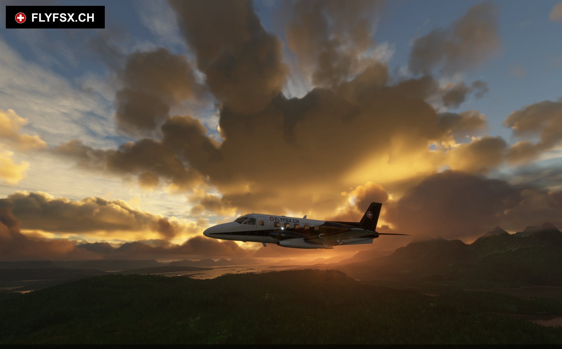 FLYFSX - Flugsimulator - Flight Simulator -  Rüchligweg 55 - 4125 Riehen - Basel - Baden - Aarau - Zürich - Schweiz - Lörrach - Freiburg - Deutschland. 