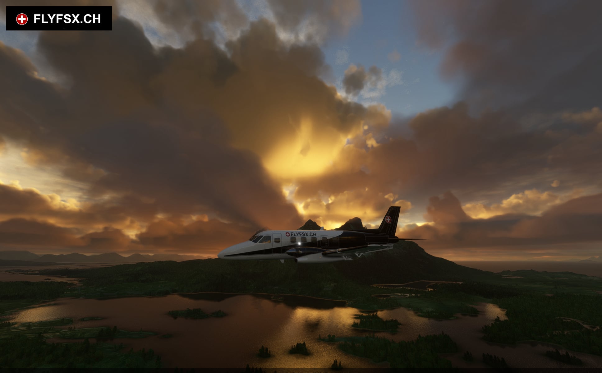 FLYFSX - Flugsimulator - Flight Simulator -  Rüchligweg 55 - 4125 Riehen - Basel - Baden - Aarau - Zürich - Schweiz - Lörrach - Freiburg - Deutschland. 