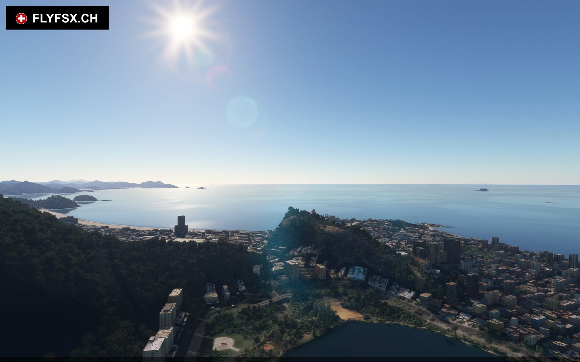 FLYFSX - Flugsimulator - Flight Simulator -  Rüchligweg 55 - 4125 Riehen - Basel - Baden - Aarau - Zürich - Schweiz - Lörrach - Freiburg - Deutschland. 