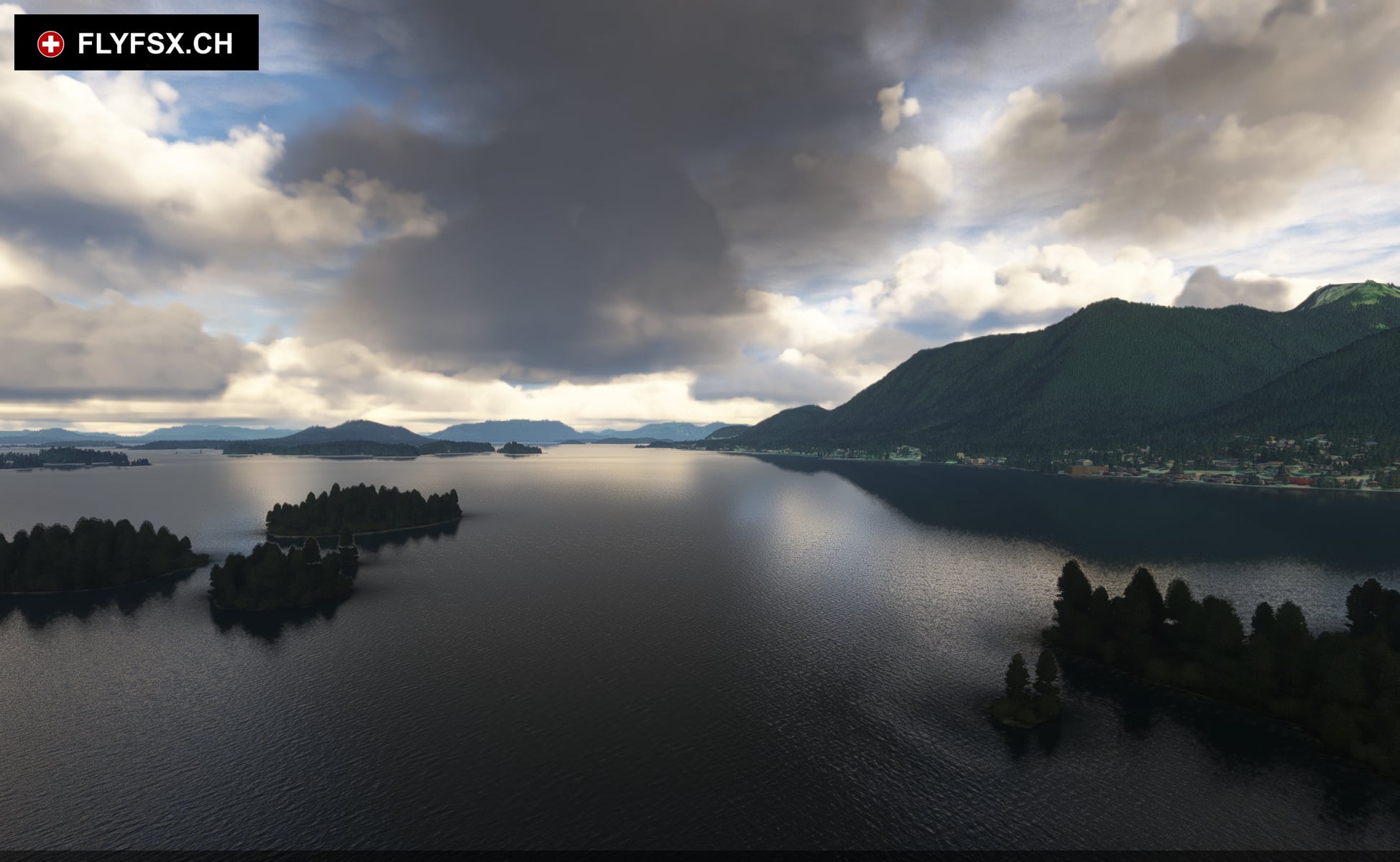 FLYFSX - Flugsimulator - Flight Simulator -  Rüchligweg 55 - 4125 Riehen - Basel - Baden - Aarau - Zürich - Schweiz - Lörrach - Freiburg - Deutschland. 