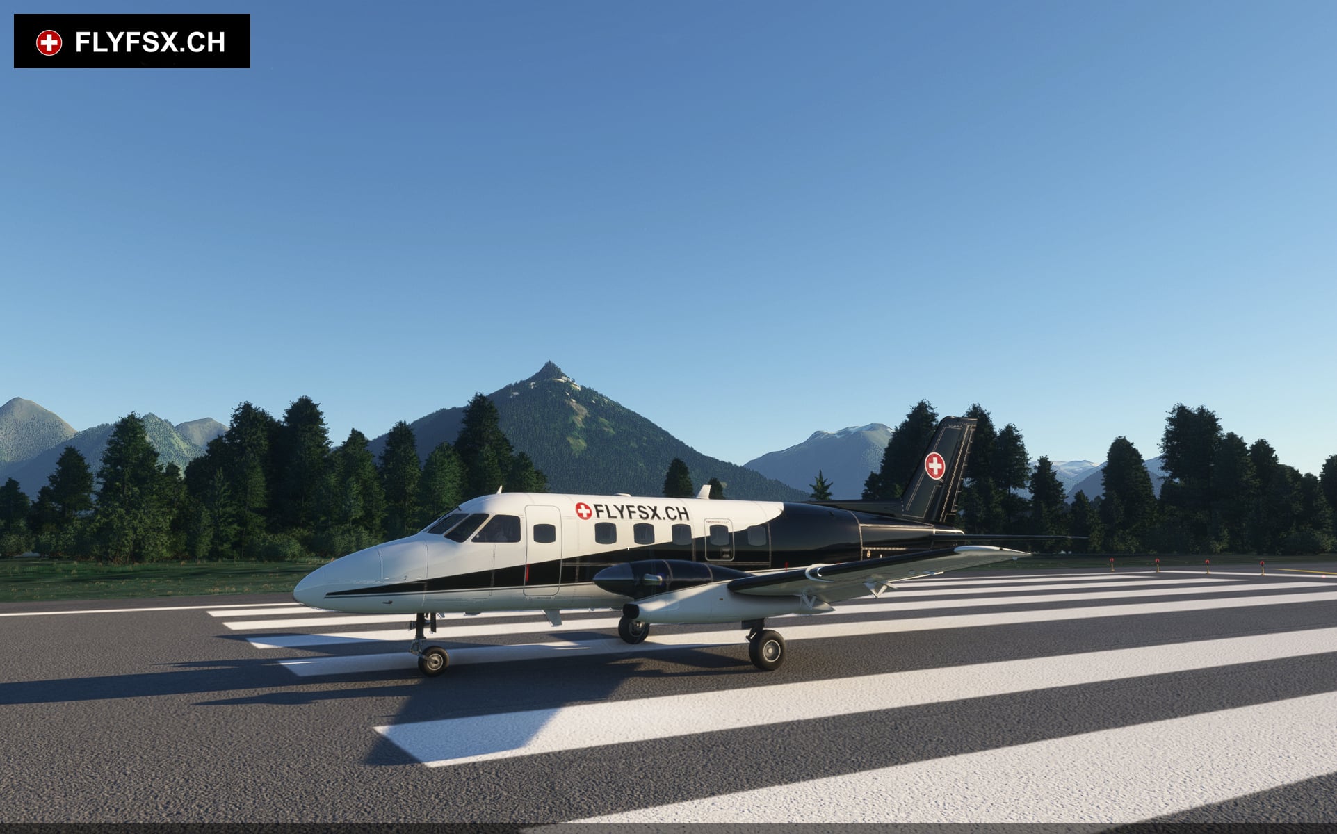 FLYFSX - Flugsimulator - Flight Simulator -  Rüchligweg 55 - 4125 Riehen - Basel - Baden - Aarau - Zürich - Schweiz - Lörrach - Freiburg - Deutschland. 
