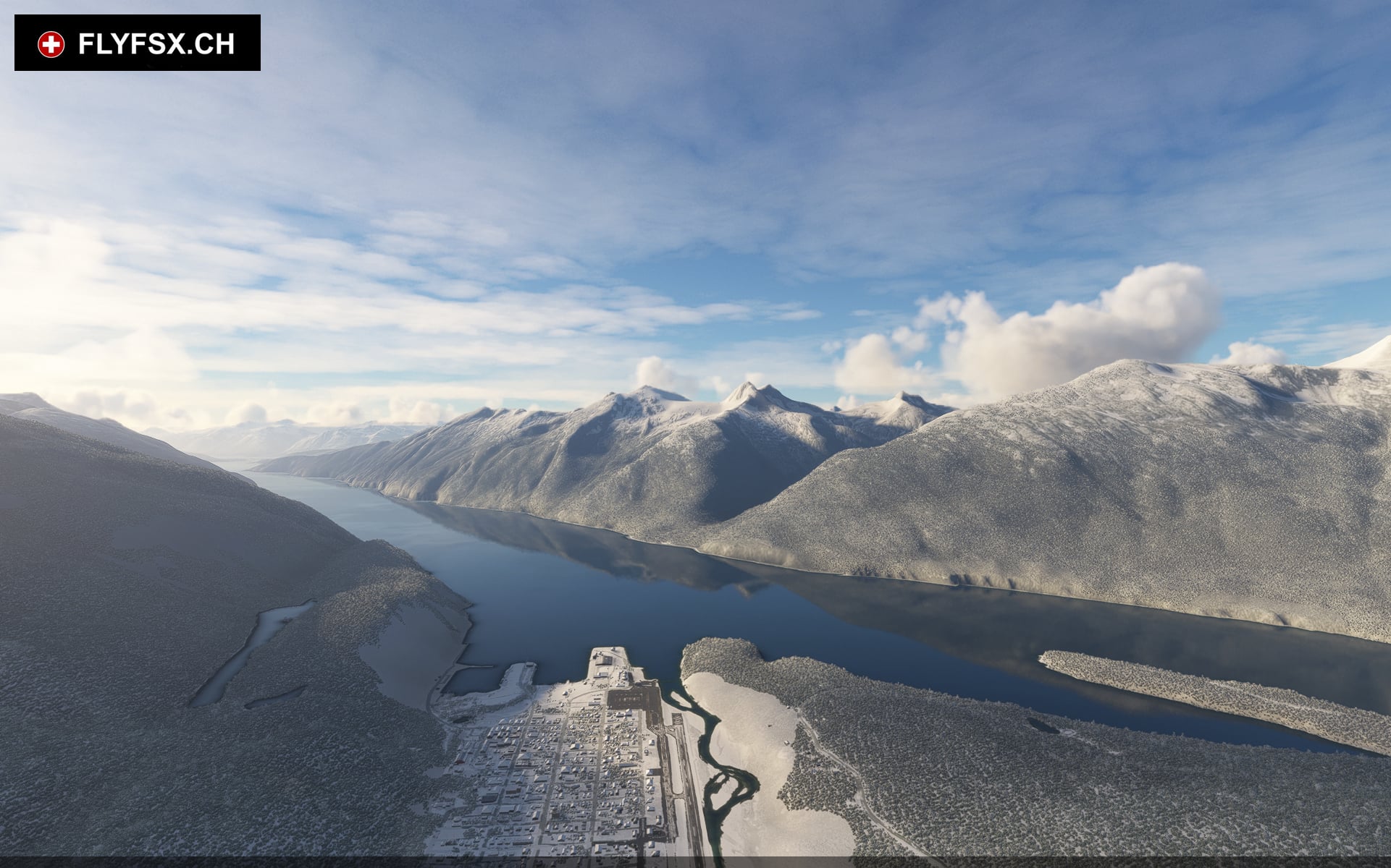 FLYFSX - Flugsimulator - Flight Simulator -  Rüchligweg 55 - 4125 Riehen - Basel - Baden - Aarau - Zürich - Schweiz - Lörrach - Freiburg - Deutschland. 
