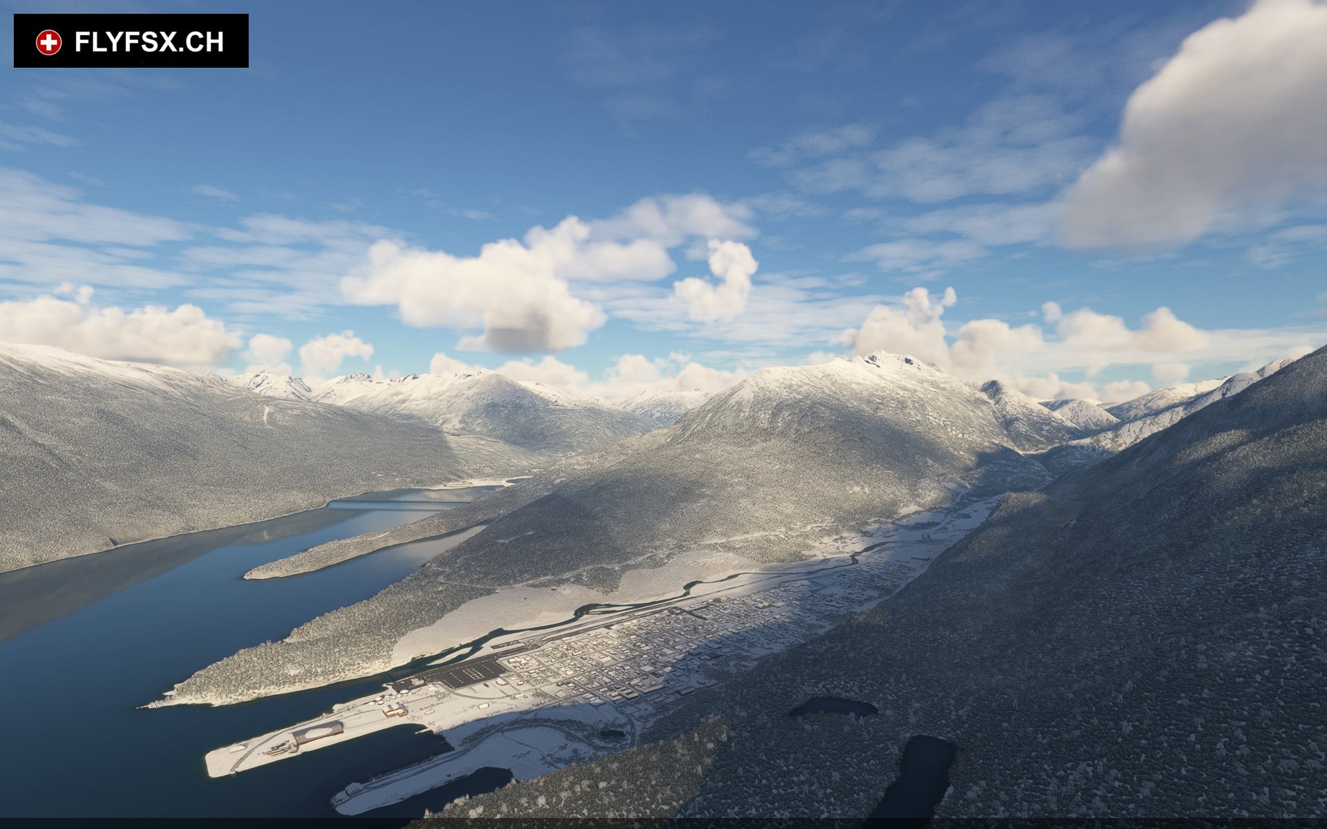 FLYFSX - Flugsimulator - Flight Simulator -  Rüchligweg 55 - 4125 Riehen - Basel - Baden - Aarau - Zürich - Schweiz - Lörrach - Freiburg - Deutschland. 